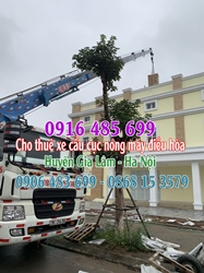 Cho thuê xe cẩu cục nóng máy điều hòa huyện Gia Lâm (Hà Nội)