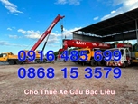 Xe Cẩu Đông Hải Bạc Liêu - Cho Thuê Xe Cẩu Tại Đông Hải Bạc Liêu [GỌI CÓ NGAY]