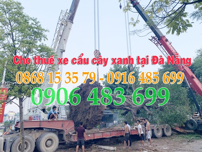 0906.483.699 Cho thuê xe cẩu Cây Xanh Đà Nẵng - Cho thuê xe cẩu Cây Cảnh tại Đà Nẵng