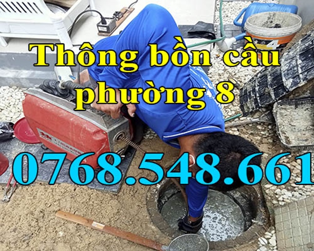 Thông bồn cầu tại phường 8 quận Tân Bình gọi 0768548661