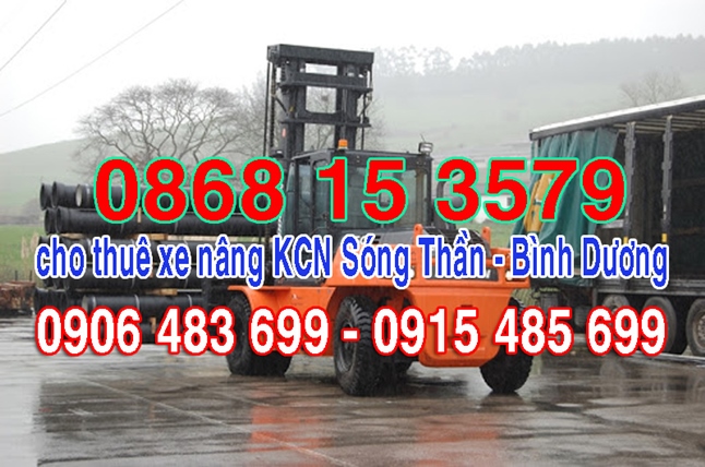 Cho thuê xe nâng KCN Sóng Thần Bình Dương - cho thuê xe nâng khu công nghiệp Sóng Thần