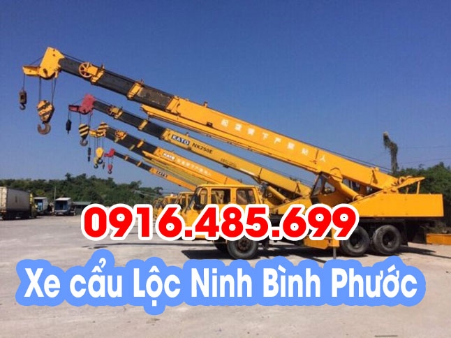 Cho thuê xe cẩu Huyện Lộc Ninh (Bình Phước) GIÁ RẺ NHẤT gọi 0916.485.699